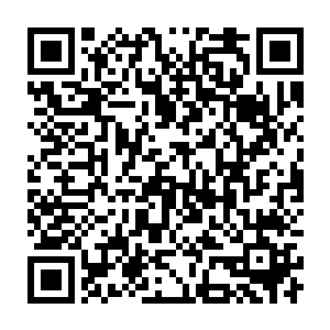 眼神有些发呆的在神色平淡的曾毅及跪在地上的知府两者之间来回转动二维码生成