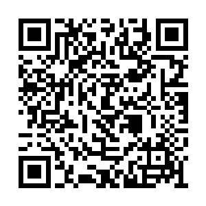 眼神淡淡的看了小女孩哭得可怜兮兮的小脸一眼二维码生成