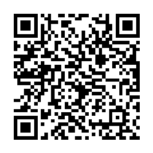 眼见军法司的人从骑兵的身上搜出的东西摆了一地二维码生成