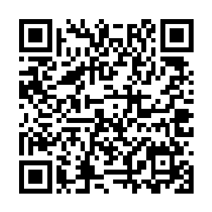 眼见几道领主意志被杨开追杀的上天无路入地无门二维码生成