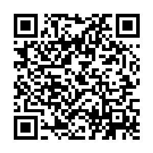 眼见厂长的狮子狗qwq一连三个技能甩在大石头人身上二维码生成