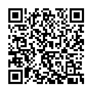 眼见就要被六阎罗鱼的第三条触须砸个血肉模糊二维码生成