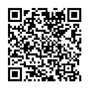 眼见得一条黑影在阳光下似缓实速的飘飞了过来二维码生成