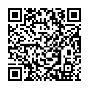 眼见得那献祭的魔法阵足足呕吐出来了近百只卵二维码生成