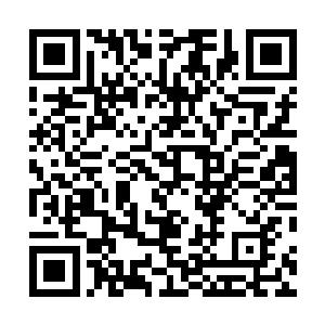 眼见斩杀了拥有高级圣者实力的卡萨队长的人向自己冲来二维码生成
