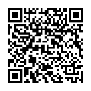 眼见着炎赤峰的攻击就要落到几个人的身上的时候二维码生成