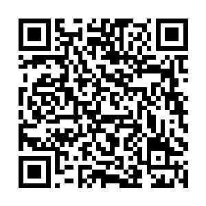 眼见着赤金色的风暴就要落到第二元神的身上的时候二维码生成