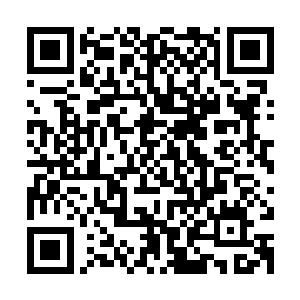 眼见着面前杵着的三只兀自对话把我和目标人当成了案板上的肉二维码生成