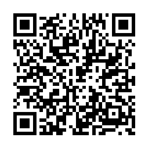 眼见这个新来的小胖墩竟然还敢跟自己横眉怒视二维码生成