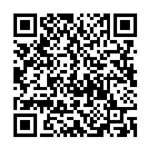 眼角余光瞥到野泽花梨有着蓝宝石般迷人美甲的白嫩小手伸过来二维码生成