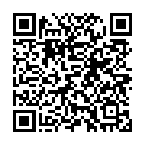眼角的余光扫到一道红色的娇小身影朝着黑衣人的方向跑去二维码生成