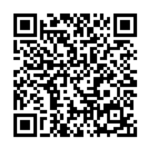 眼里带着一丝迷茫和困惑的神色的望向了何少辉二维码生成