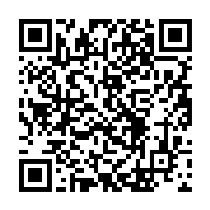 眼里的寒光犹如实质般注视着被茫茫夜色笼罩的前方二维码生成