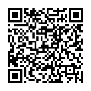 眼里面的光芒简直好像冷刀子一样扎在了君无极的身上二维码生成