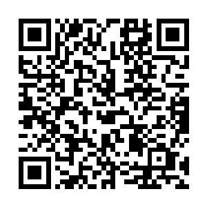 着实没想到出现在视野里的竟然是一个极为广阔的大殿二维码生成