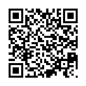 着实让人对东星集团和李锐刚高看一眼二维码生成