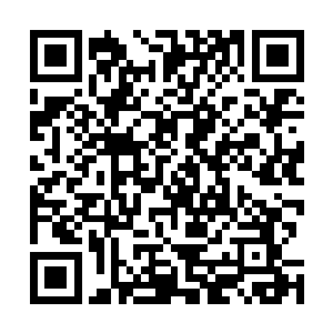 着要不要动用它来对付眼前的这头凶猛异常的烈焰魔虎了二维码生成