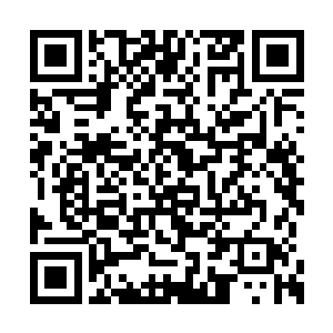 睡眼朦胧的小组成员不约而同地从宾馆中冲出来二维码生成