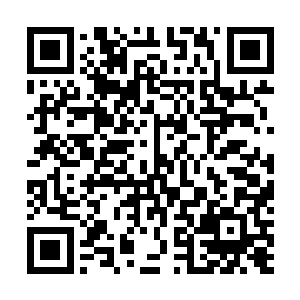 督宰大人是不是告诉我我此刻已经不知不觉成了过河之卒二维码生成