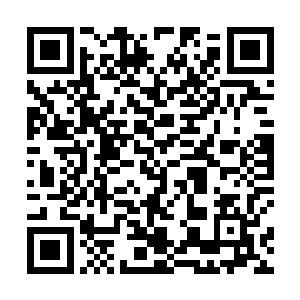 督察支队的支队长魏大平接到办公室人员杨璐的电话时二维码生成