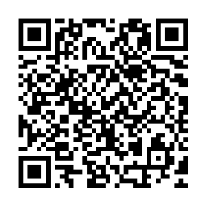 睿和青云以及刚三个人一起费了九牛二虎的力气才把雪狼移动开二维码生成