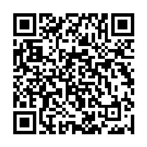 睿哲界主催动自己的域界和人造域主们的域场碰撞着二维码生成