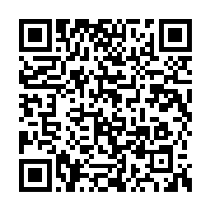 睿哲界主明显没有从我的星域里感应到多个星域二维码生成