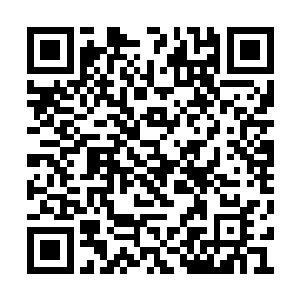 瞄准了空中已经飞得只剩下一个个小黑点的鹰群二维码生成