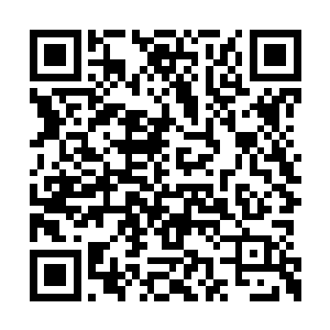 瞅着他们阿父那一张黑脸二话没说就都喝了下去二维码生成