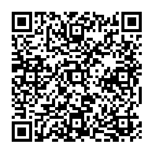 瞅着依旧在月色下盘旋不敢落下的几只乌鸦李元昊拿脚踢一下隗狼的尸体问皇城司统领二维码生成