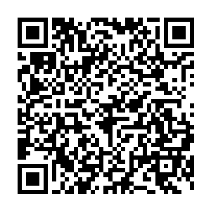 瞅着女孩头发上偶尔爬过的黑色虱子和头发丝里密密麻麻的白色虱卵二维码生成