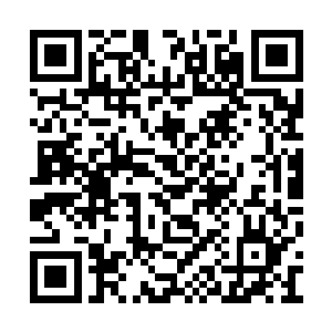 瞅瞅云傲天等人对反贼随从直接呼来喝去的气派二维码生成