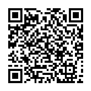 瞅见了左侧百丈外的一棵大树下站了个黑色斗篷裹身遮颜的人二维码生成