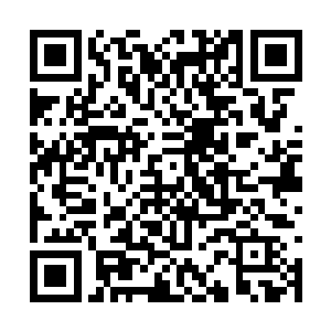 瞥了一眼晏宁裕身边那位长的比晏宁裕稍矮的少年二维码生成