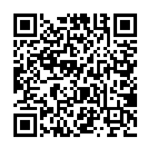 瞥见了那柄冷落多时被挂在墙上做漂亮装饰的绣冬刀二维码生成