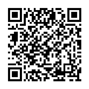 瞧着不起眼的小树林竟然隔绝了她的神识的探测二维码生成