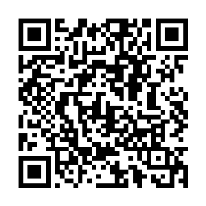 瞧着前面张四维与众位江陵党大臣说说笑笑的情景二维码生成