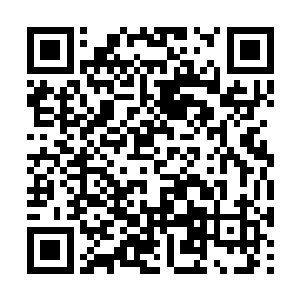 瞧着那眼巴巴的样子估计是得知有人跟青云上山了二维码生成