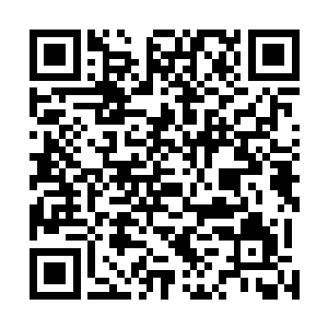 瞧瞧的入宫……皇上曾许和亲王与肃亲王秘密入宫的特权二维码生成