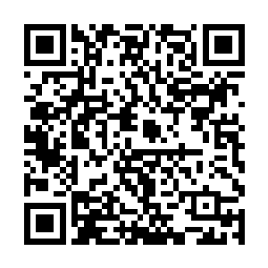 瞧见一个个试镜演员垂头丧气的从试镜室之中走出来二维码生成