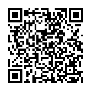 瞧那神态似乎更看重青元尊在重压下的陈述状态二维码生成