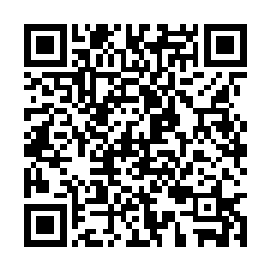 瞪大了美眸走进了这个无比庞大无比绚烂的宫殿里二维码生成