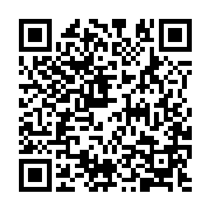 瞪着眼前既熟悉又陌生的人半晌才回过神来指着她二维码生成