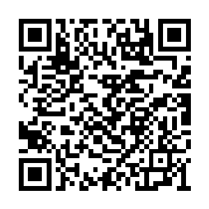 瞬息将这些剑气全都轰入了镇远商号所埋伏之地二维码生成
