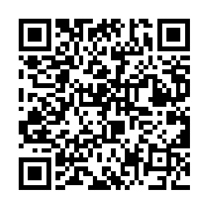 瞬间一声声无比凄厉的惨叫声也是从虚影的嘴里传出二维码生成