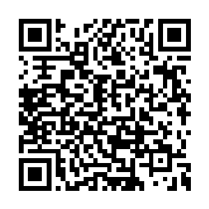 瞬间一头庞然巨大的赤色雄狮模糊相势赫然显现二维码生成