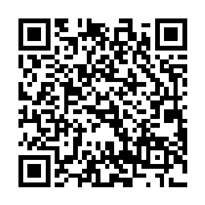 瞬间一朵绚丽的血色花朵从阿诺德的手臂上完美的绽放二维码生成