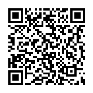 瞬间一枚金色的果子直接出现在了龙傲天的手中二维码生成