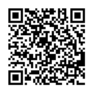 瞬间一起向着那个罗天上仙中期的魔族修士攻击过去二维码生成