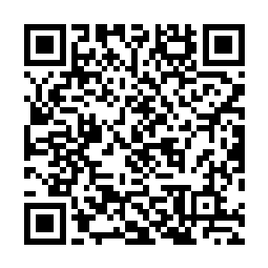 瞬间便出现在高空中目光冷漠的盯着光明圣师工会的众人二维码生成